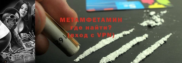 прущие грибы Верея