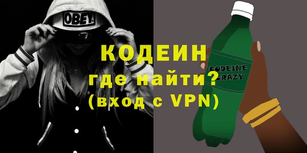 прущие грибы Верея