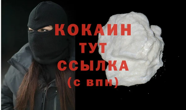 прущие грибы Верея