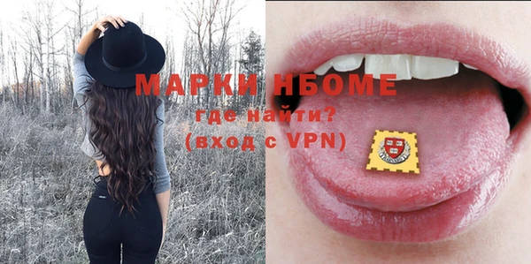 прущие грибы Верея