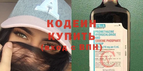 прущие грибы Верея