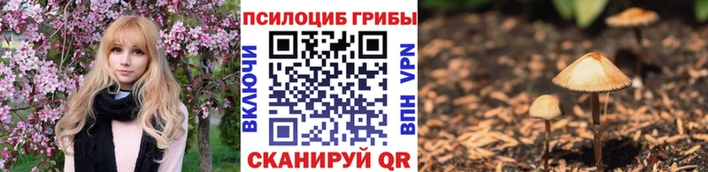 Купить закладки  Краснотурьинск  Галлюциногенные грибы Psilocybe 